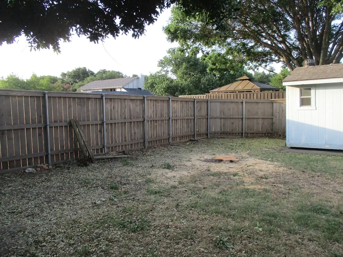 Cleared yard after professional tree removal in Hartland